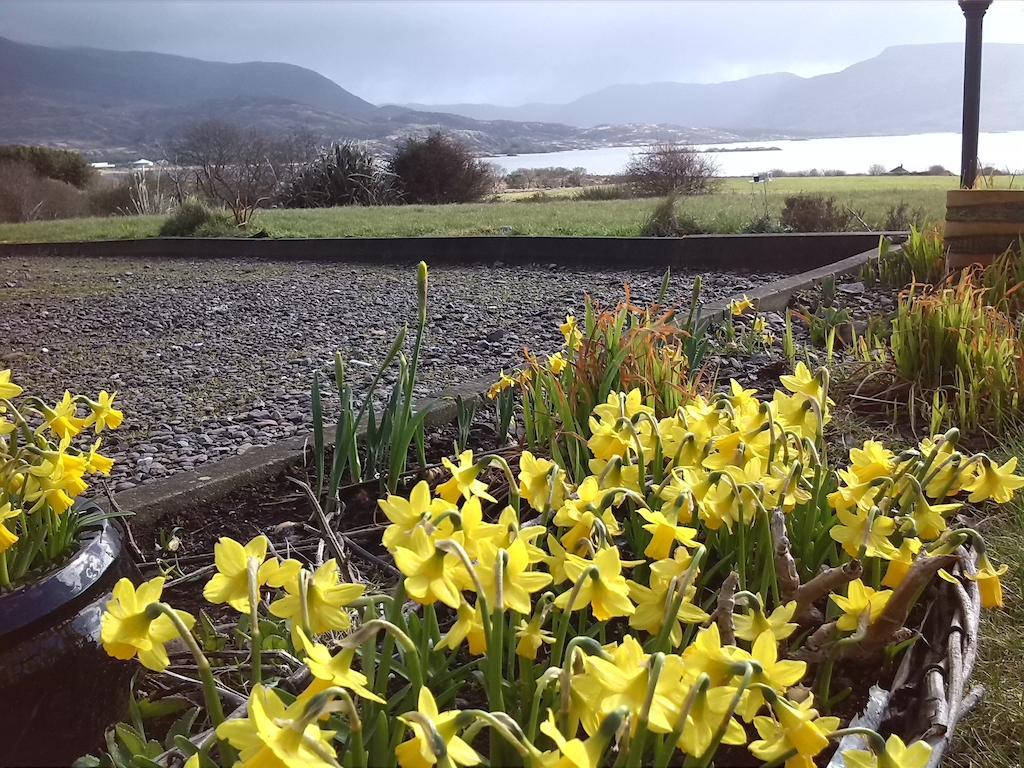 Currane Lodge Waterville Eksteriør billede